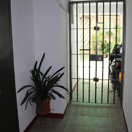 Teja Arcos de la Frontera
